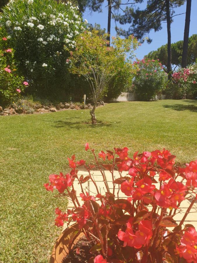The Pinewood Villa Vilamoura Bagian luar foto