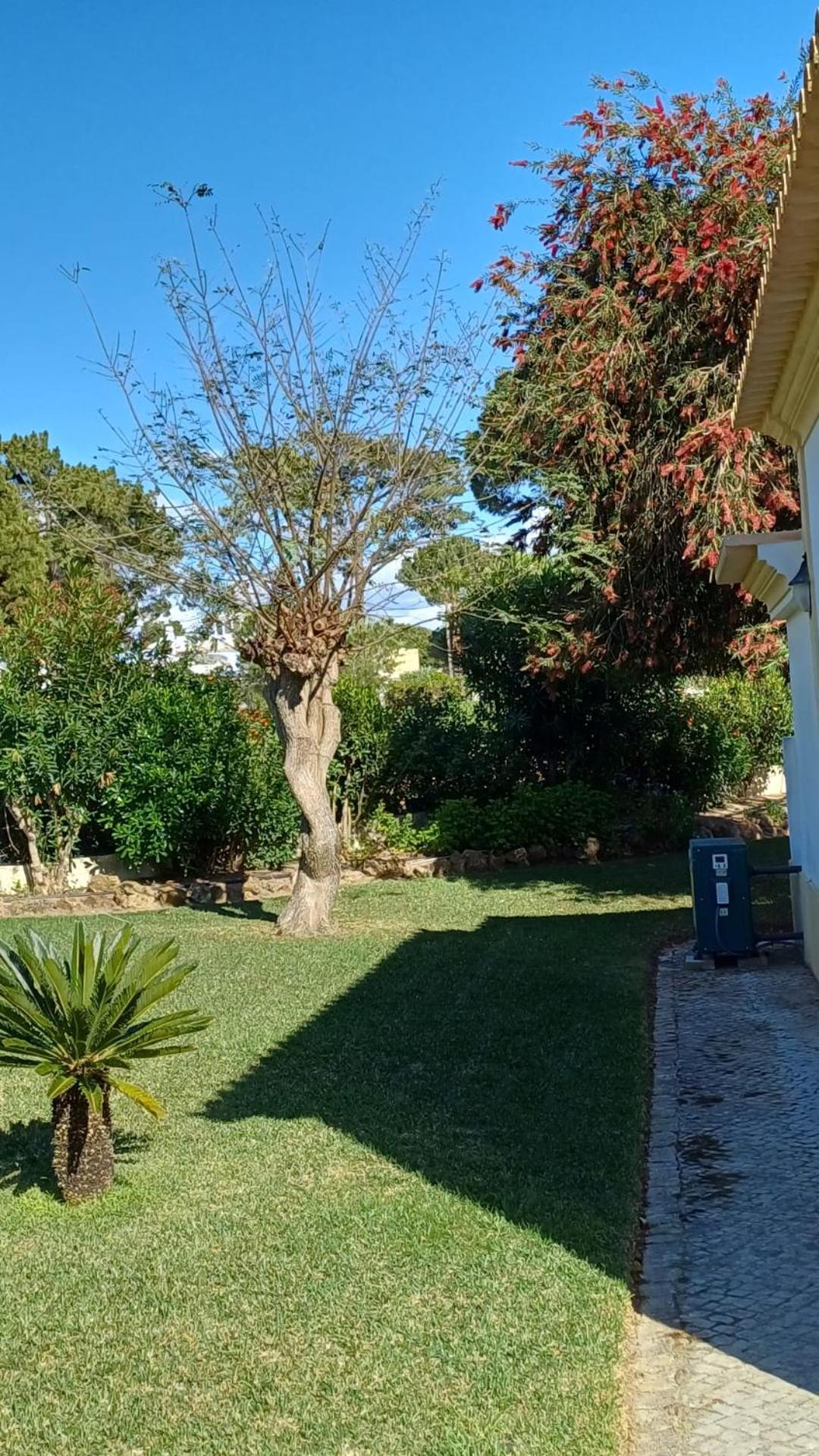 The Pinewood Villa Vilamoura Bagian luar foto