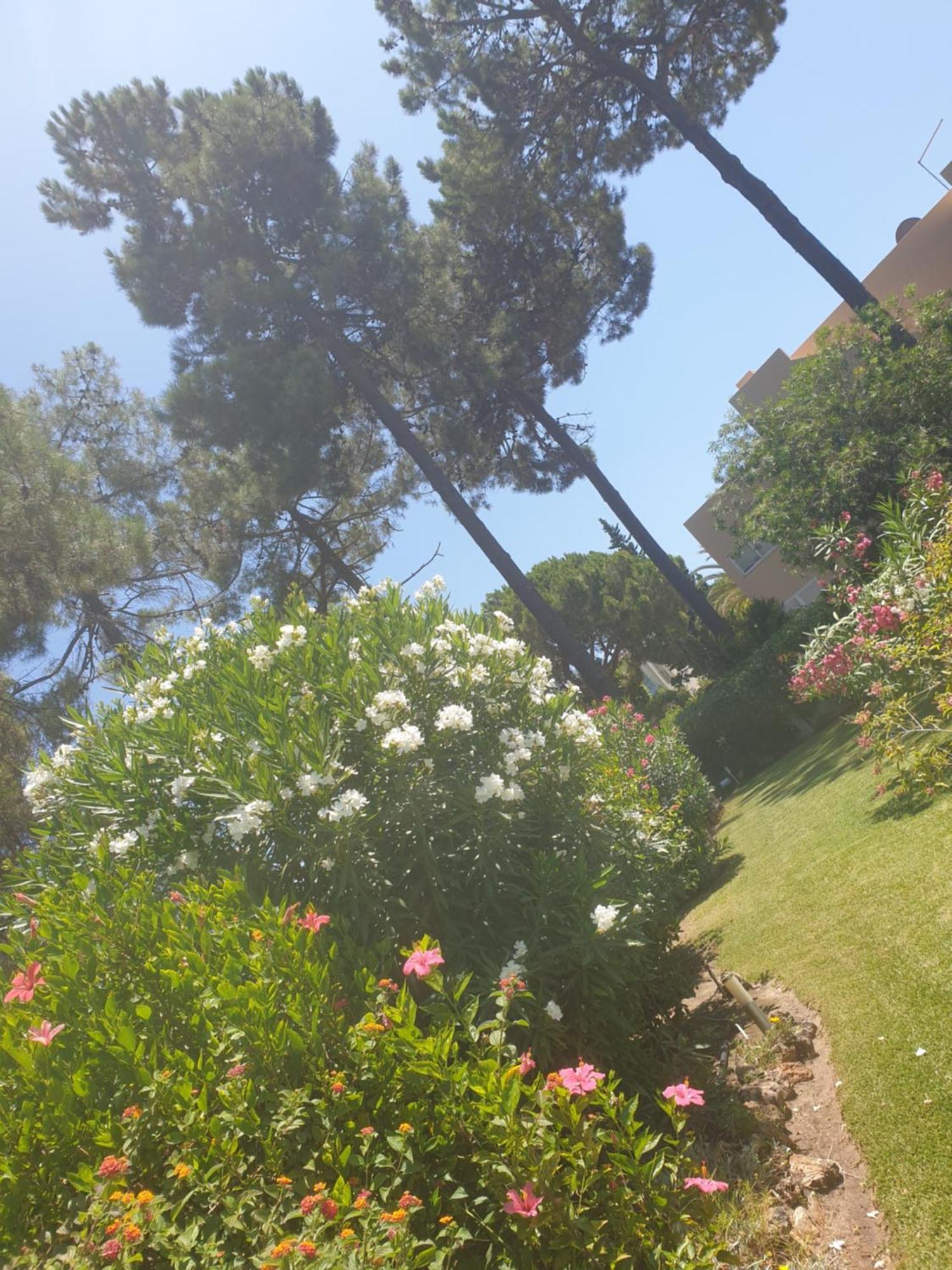 The Pinewood Villa Vilamoura Ruang foto